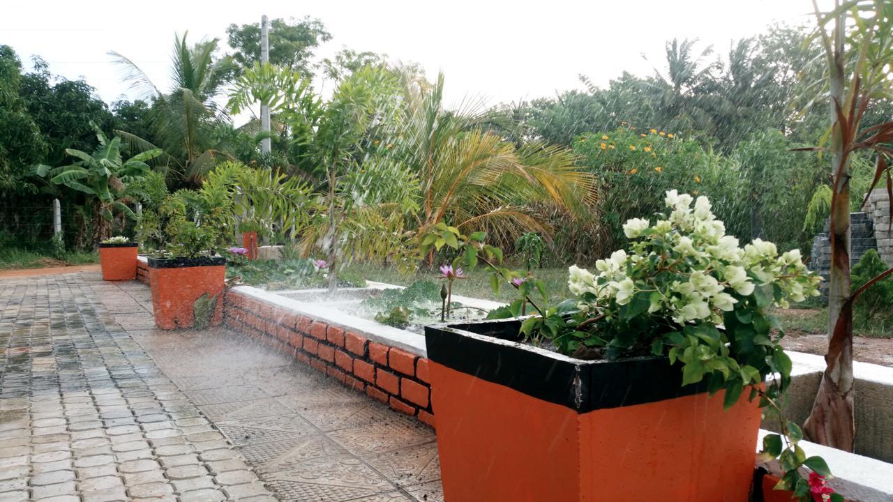 Miheen Hotel & Resort - Anuradhapura مايهينتاليه المظهر الخارجي الصورة