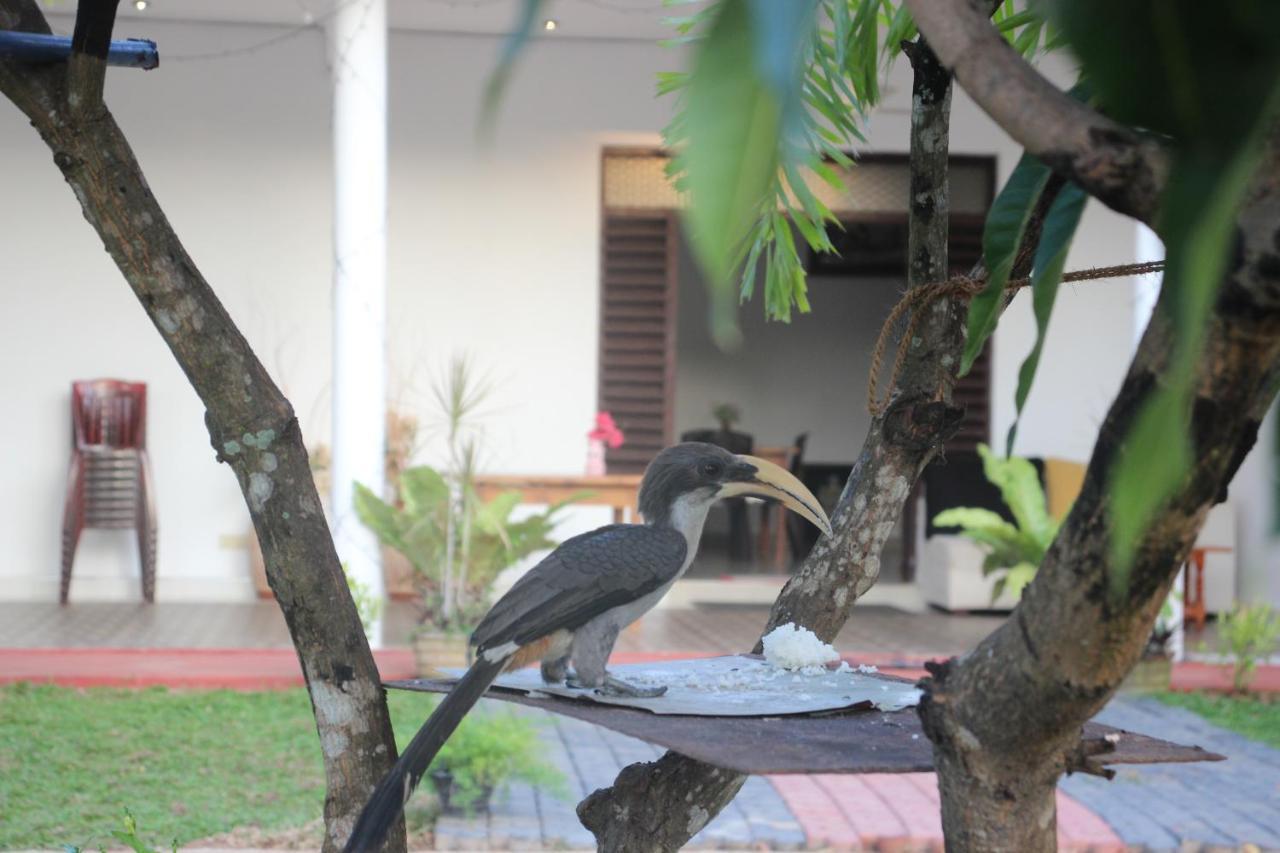 Miheen Hotel & Resort - Anuradhapura مايهينتاليه المظهر الخارجي الصورة