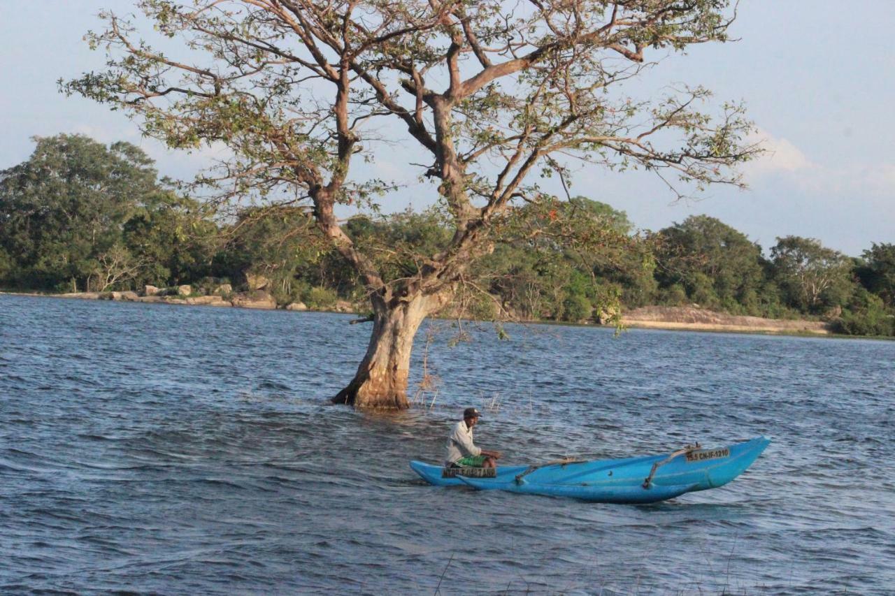 Miheen Hotel & Resort - Anuradhapura مايهينتاليه المظهر الخارجي الصورة